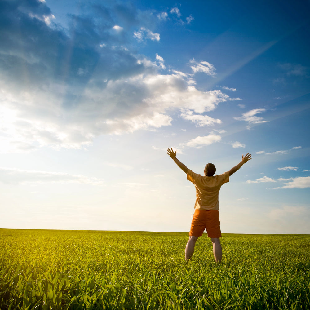 Male Hormone Panel Test Kit